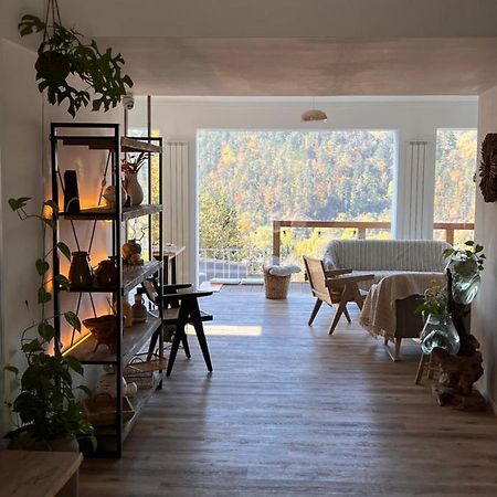 Shard Boutique Hotel-Adult Only Brasov Bagian luar foto