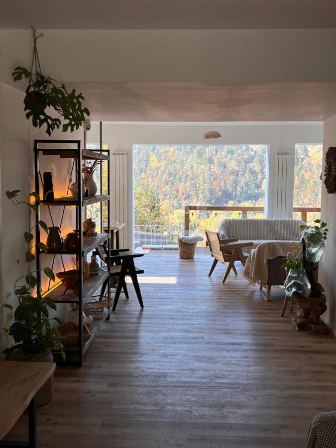 Shard Boutique Hotel-Adult Only Brasov Bagian luar foto