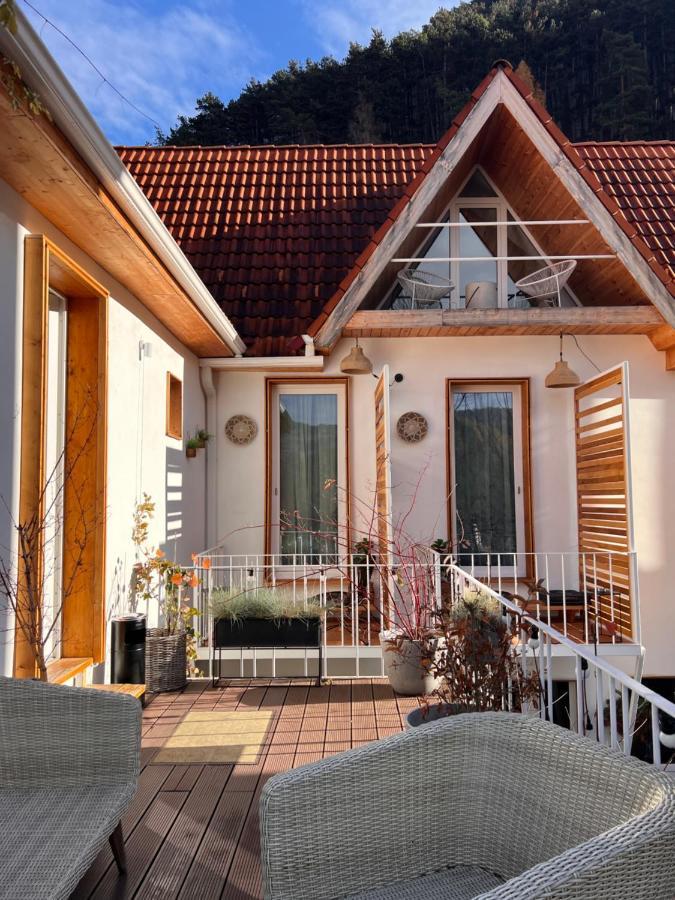 Shard Boutique Hotel-Adult Only Brasov Bagian luar foto